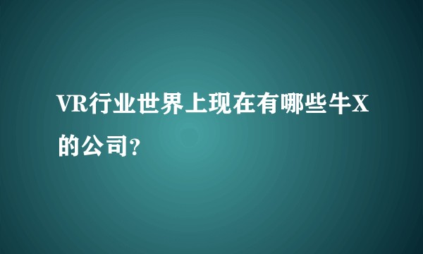 VR行业世界上现在有哪些牛X的公司？