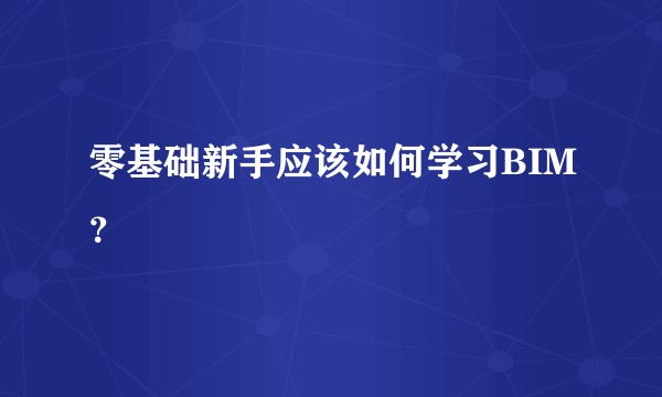 零基础新手应该如何学习BIM？