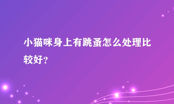 小猫咪身上有跳蚤怎么处理比较好？