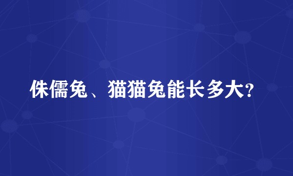 侏儒兔、猫猫兔能长多大？