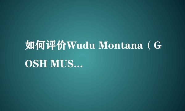 如何评价Wudu Montana（GOSH MUSIC）？