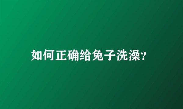 如何正确给兔子洗澡？