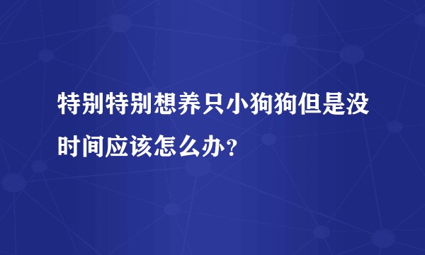 特别特别想养只小狗狗但是没时间应该怎么办？