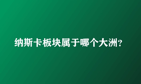 纳斯卡板块属于哪个大洲？