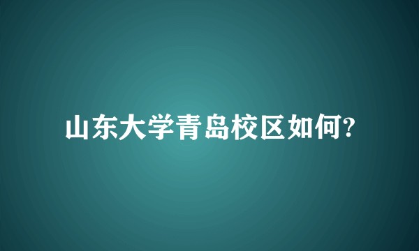 山东大学青岛校区如何?