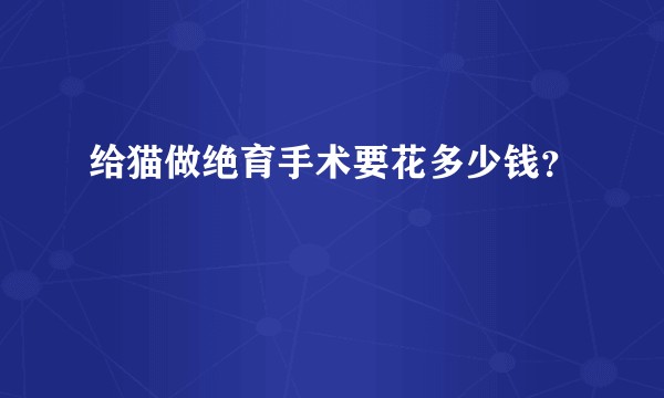 给猫做绝育手术要花多少钱?