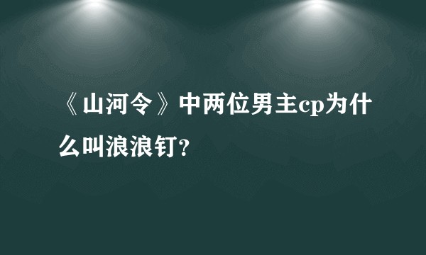 《山河令》中两位男主cp为什么叫浪浪钉？