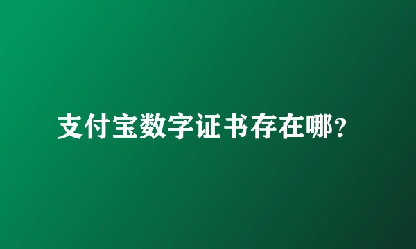 支付宝数字证书存在哪？