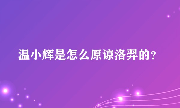 温小辉是怎么原谅洛羿的？