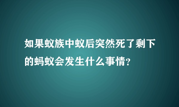 如果蚁族中蚁后突然死了剩下的蚂蚁会发生什么事情？