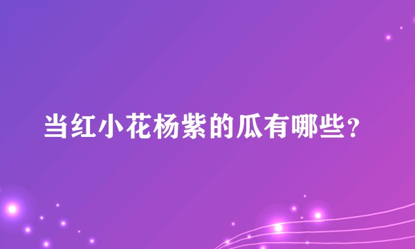 当红小花杨紫的瓜有哪些?