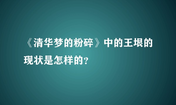 《清华梦的粉碎》中的王垠的现状是怎样的？