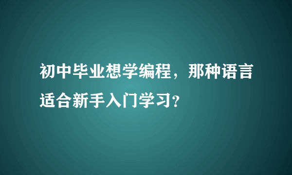 初中毕业想学编程，那种语言适合新手入门学习？