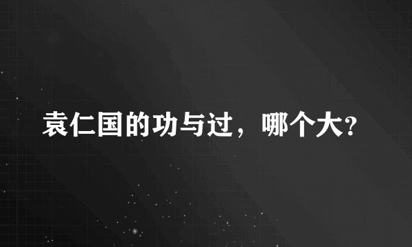 袁仁国的功与过，哪个大？
