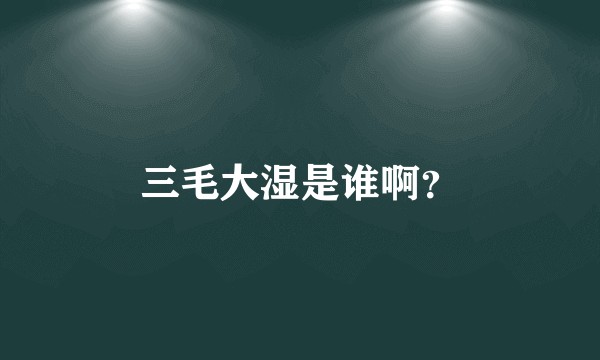 三毛大湿是谁啊？