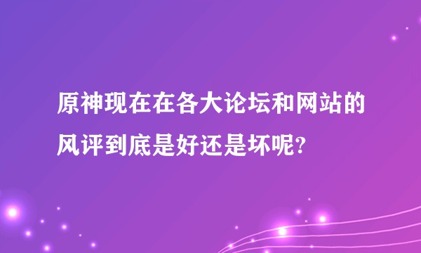 原神现在在各大论坛和网站的风评到底是好还是坏呢?