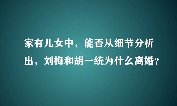 家有儿女中，能否从细节分析出，刘梅和胡一统为什么离婚？