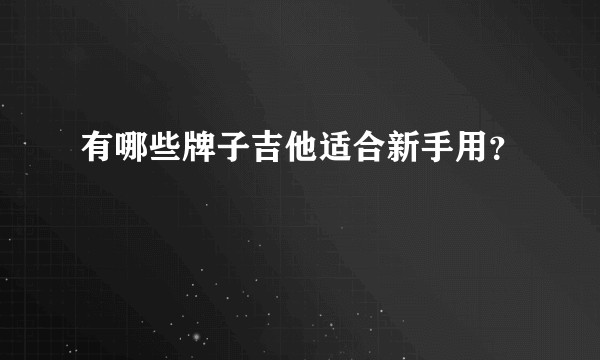 有哪些牌子吉他适合新手用？