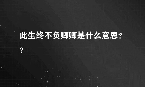此生终不负卿卿是什么意思？？