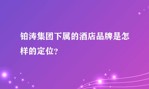 铂涛集团下属的酒店品牌是怎样的定位？