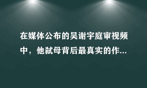 在媒体公布的吴谢宇庭审视频中,他弑母背后最真实的作案动机是什么?