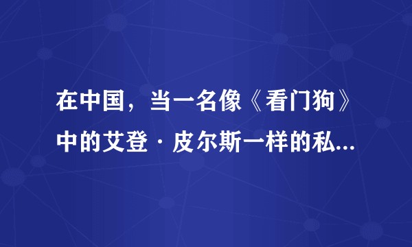 在中国,当一名像《看门狗》中的艾登·皮尔斯一样的私法制裁者的可能有多大?