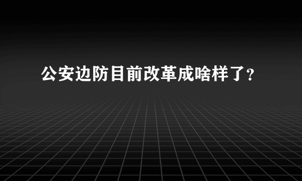 公安边防目前改革成啥样了？