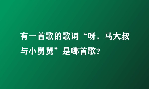 有一首歌的歌词“呀，马大叔与小舅舅”是哪首歌？