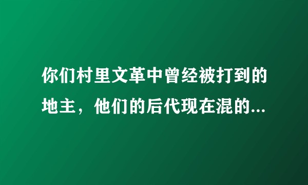 你们村里文革中曾经被打到的地主，他们的后代现在混的怎么样?