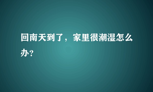 回南天到了，家里很潮湿怎么办？
