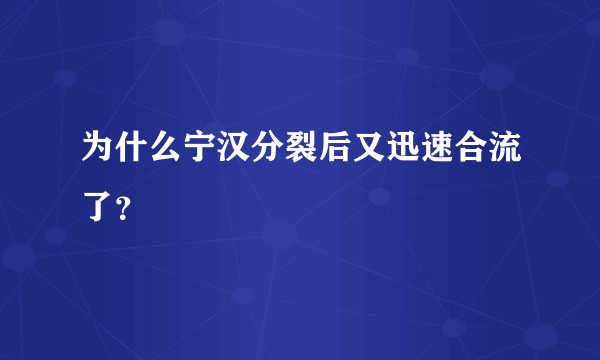 为什么宁汉分裂后又迅速合流了?