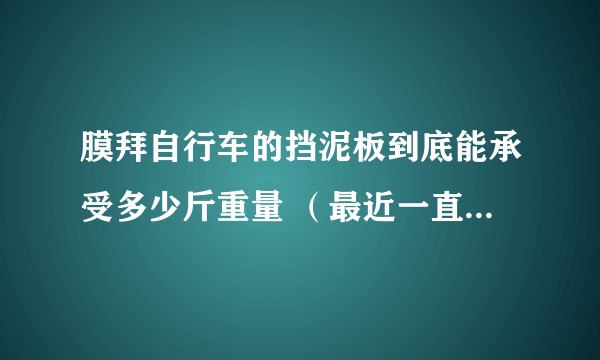 膜拜自行车的挡泥板到底能承受多少斤重量 （最近一直遇到刷新我的感官）？