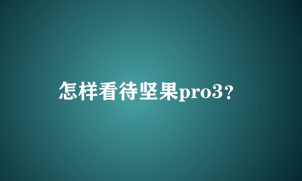 怎样看待坚果pro3？