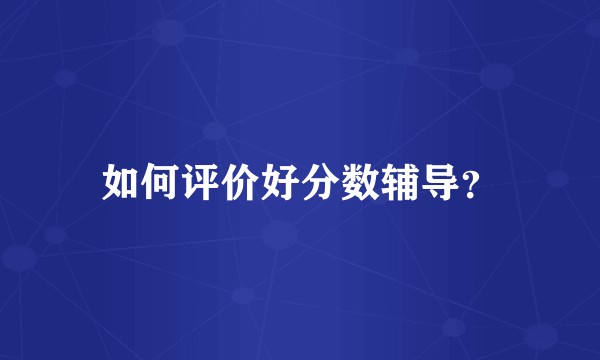 如何评价好分数辅导？