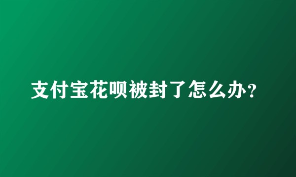 支付宝花呗被封了怎么办？