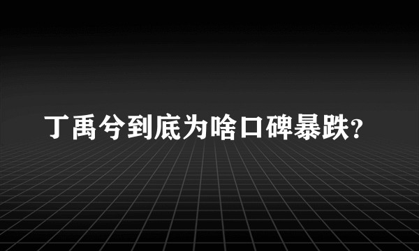 丁禹兮到底为啥口碑暴跌？
