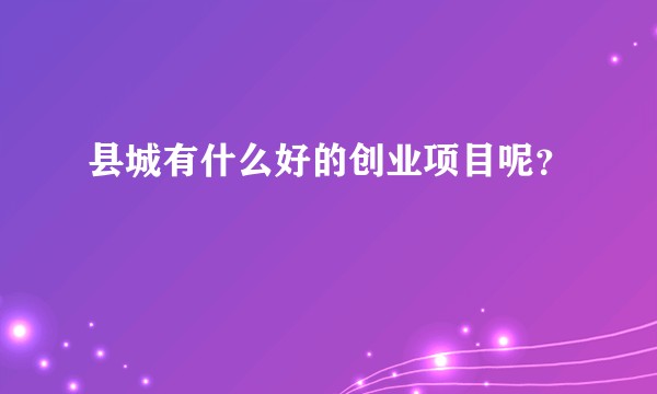 县城有什么好的创业项目呢？