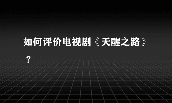 如何评价电视剧《天醒之路》 ？