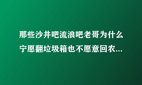 那些沙井吧流浪吧老哥为什么宁愿翻垃圾箱也不愿意回农村种地呢？