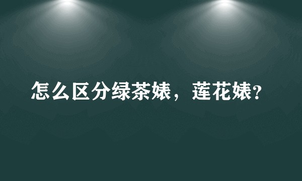 怎么区分绿茶婊，莲花婊？