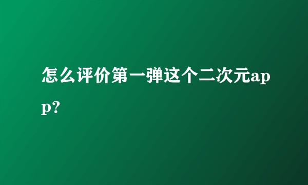 怎么评价第一弹这个二次元app？
