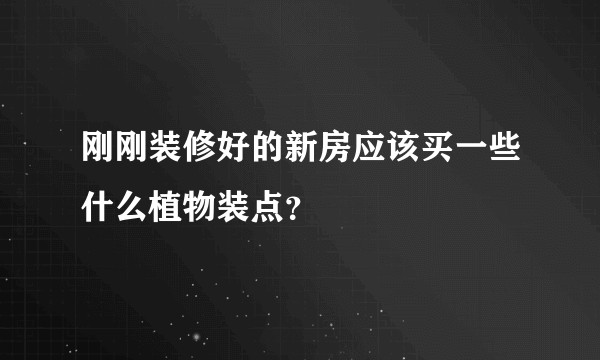 刚刚装修好的新房应该买一些什么植物装点？
