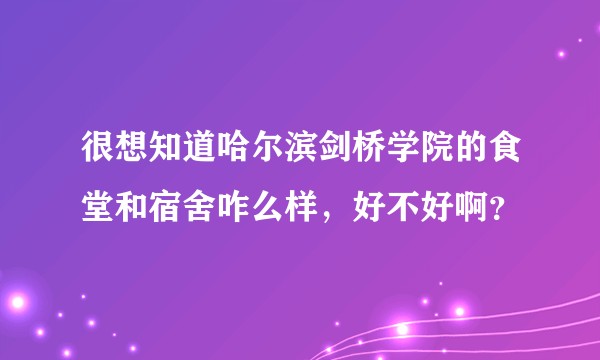 很想知道哈尔滨剑桥学院的食堂和宿舍咋么样,好不好啊?